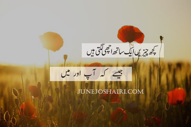 Top 10 Best Love Urdu Poetry | Love Urdu Shayari | Urdu Romantic Shayari | Romantic Urdu Poetry | Love Poetry In Hindi | Love Poetry In English