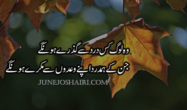 Top 2O Poetry About Life In Urdu | Sad Poetry About Life 2 Lines | Beautiful Poetry About Life In Urdu | Poetry Quotes About Life In Urdu | 2 Lines Poetry In Urdu | Poetry About Life Urdu SMS | Best Life Poetry In Urdu | Famous Poetry About Life In Urdu